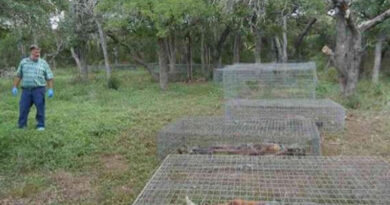 यहाँ शवों को जलाया या दफनाया नहीं जाता, लोहे के पिंजरों में रखकर सड़ने के लिए छोड़ दिया जाता है