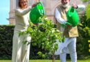 शहतूत का पौधा बन सकता है सुख-समृद्धि का प्रतीक! वास्तु शास्त्र में बताए गए इसके चौंकाने वाले फायदे