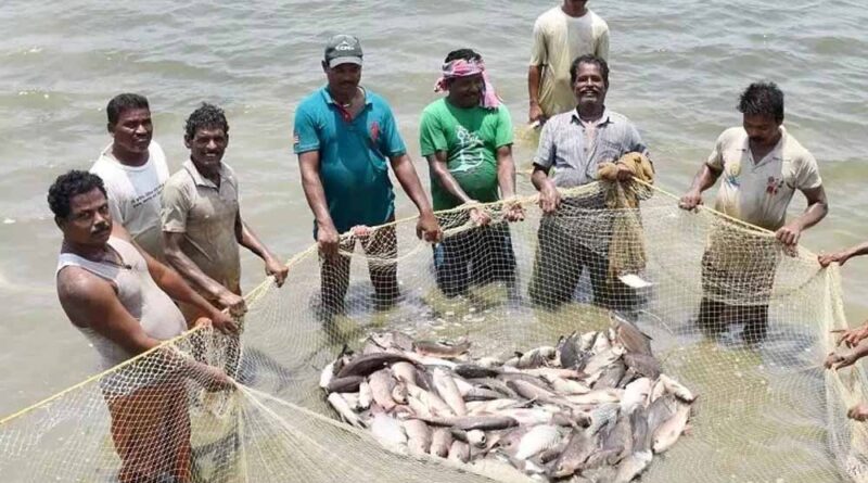 प्रधानमंत्री मत्स्य संपदा योजना से बदली किसानों की किस्मत, मछली पालन बना कमाई का नया जरिया