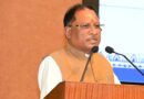 नुआखाई पर CM विष्णु देव साय की किसानों को बड़ी शुभकामना, बोले- यह नई फसल, प्रकृति और अन्नदाता के परिश्रम का उत्सव