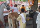 काशी के पिशाचमोचन में अकाल मृत्यु के तर्पण की अनोखी परंपरा, घोड़े का कान और गाय की पूंछ छूकर करते हैं पितरों का श्राद्ध
