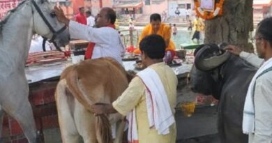काशी के पिशाचमोचन में अकाल मृत्यु के तर्पण की अनोखी परंपरा, घोड़े का कान और गाय की पूंछ छूकर करते हैं पितरों का श्राद्ध