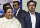 मायावती का बड़ा यू-टर्न, आकाश आनंद की BSP में वापसी; फिर बने राष्ट्रीय संयोजक, ससुर अशोक सिद्धार्थ के संन्यास के बाद बदला फैसला