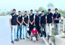 हरियाणा STF का बड़ा एक्शन, 5 लाख के इनामी आरोपी को अवैध पिस्तौल के साथ दबोचा; हत्या के बाद था फरार