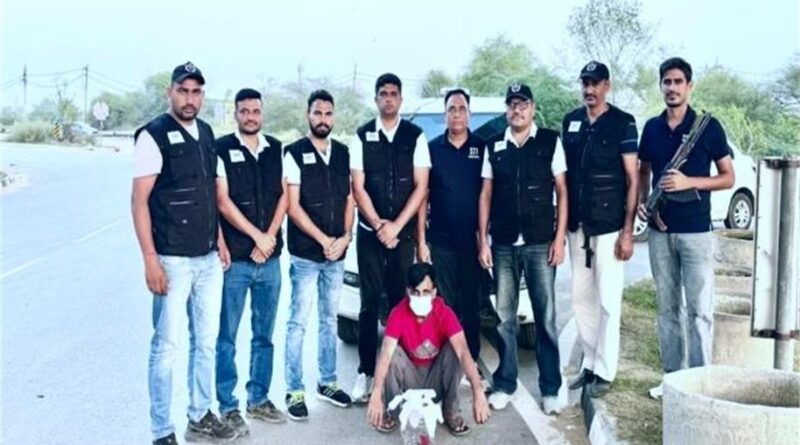 हरियाणा STF का बड़ा एक्शन, 5 लाख के इनामी आरोपी को अवैध पिस्तौल के साथ दबोचा; हत्या के बाद था फरार