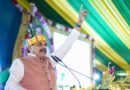 हाथियों से तबाह घरों को पक्का बनाकर देगी MP सरकार, CM मोहन यादव का बड़ा ऐलान